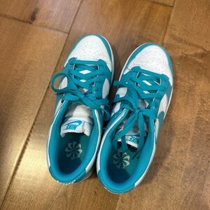 RARE Aqua Nike Dunks, Size 8